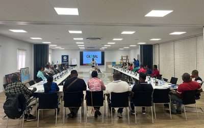 Global Paint en Kuldipsingh organiseren workshop voor schilders en aannemers